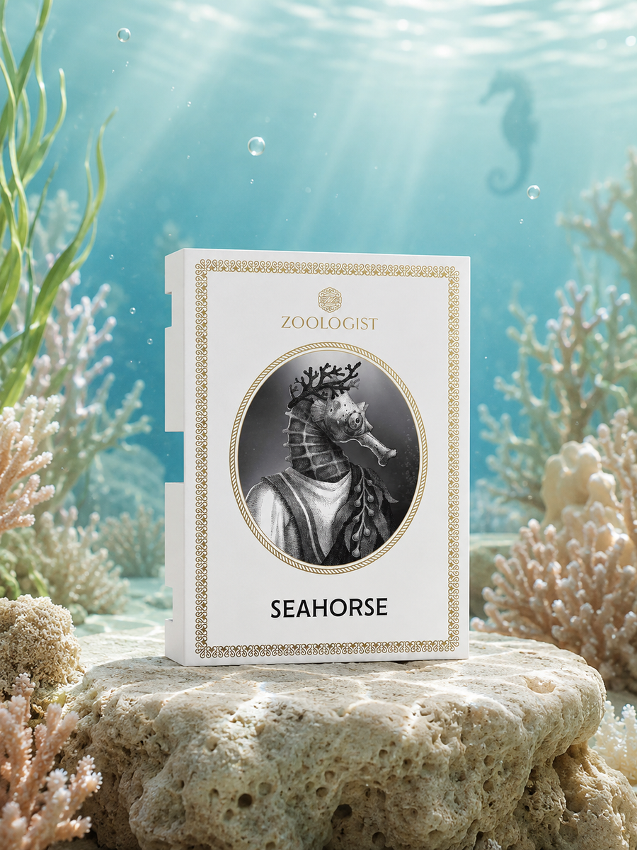 Zoologist — Seahorse (1.5 ml brand original sample)