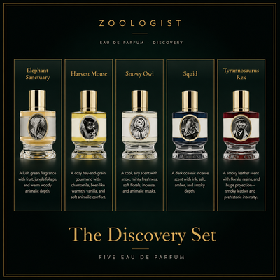 Zoologist: Cabinet of Curiosities