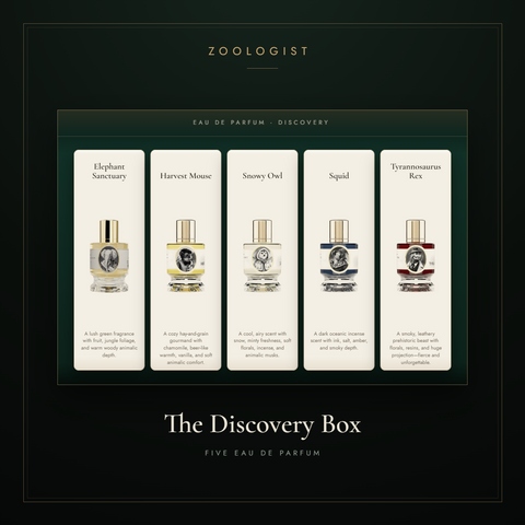Zoologist: Cabinet of Curiosities