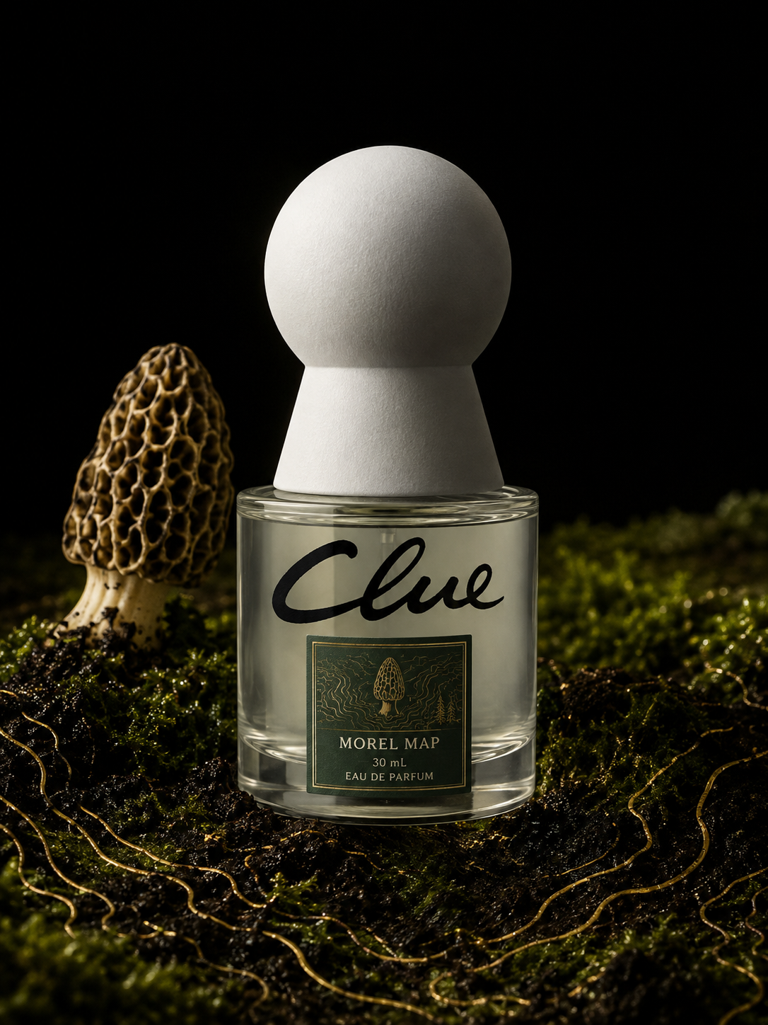Clue Perfumery Morel Map